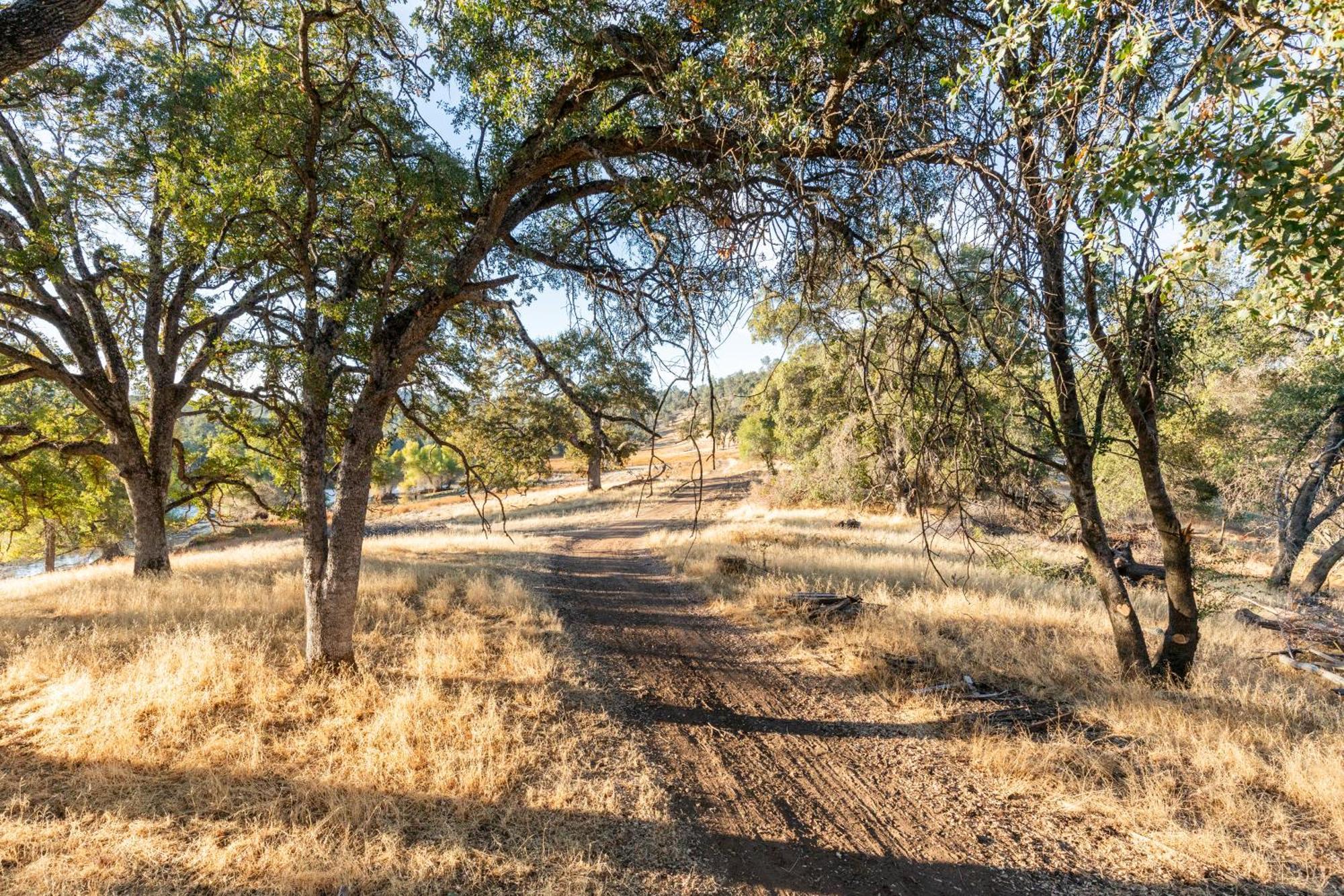 Rolling Oaks Ranch - 200 Acres Of Lakeside Beauty & Countryside Serenity Mariposa Eksteriør bilde