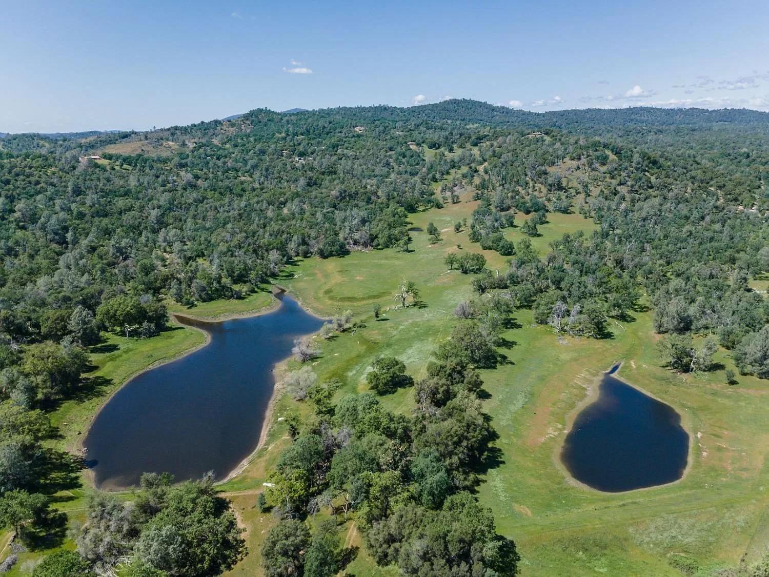 Rolling Oaks Ranch - 200 Acres Of Lakeside Beauty & Countryside Serenity Mariposa Eksteriør bilde