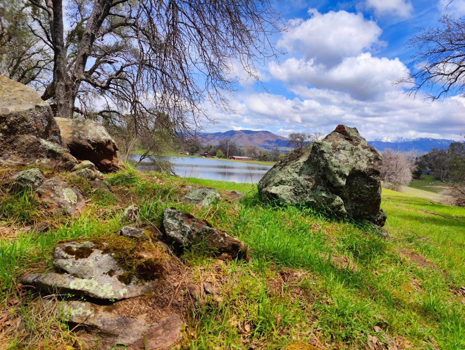 Rolling Oaks Ranch - 200 Acres Of Lakeside Beauty & Countryside Serenity Mariposa Eksteriør bilde