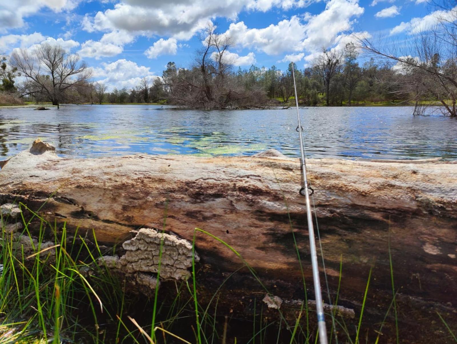 Rolling Oaks Ranch - 200 Acres Of Lakeside Beauty & Countryside Serenity Mariposa Eksteriør bilde