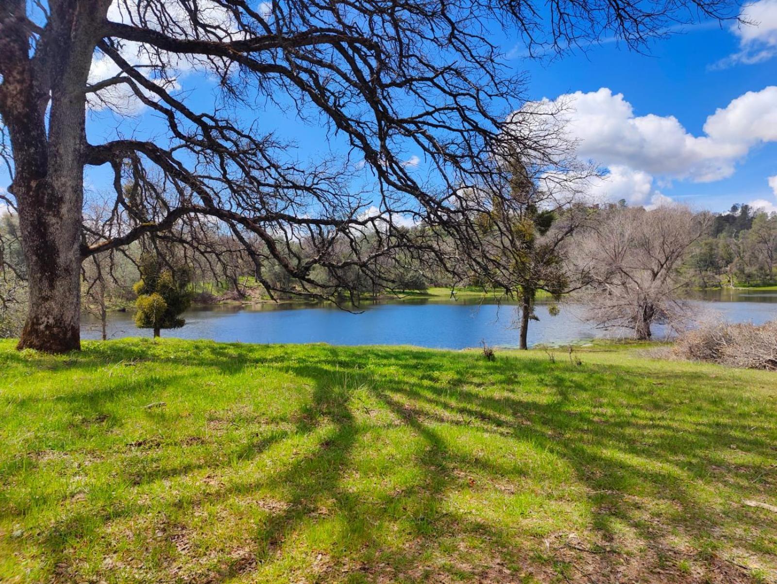 Rolling Oaks Ranch - 200 Acres Of Lakeside Beauty & Countryside Serenity Mariposa Eksteriør bilde